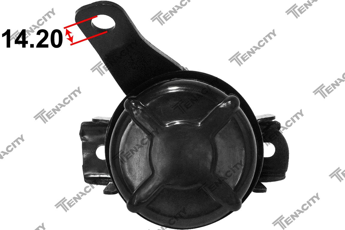 TENACITY AWSTO1228 5