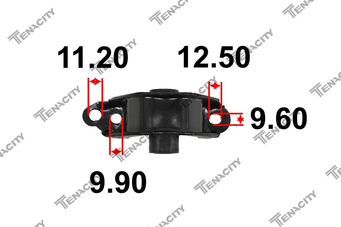 TENACITY AWSHO1023 6