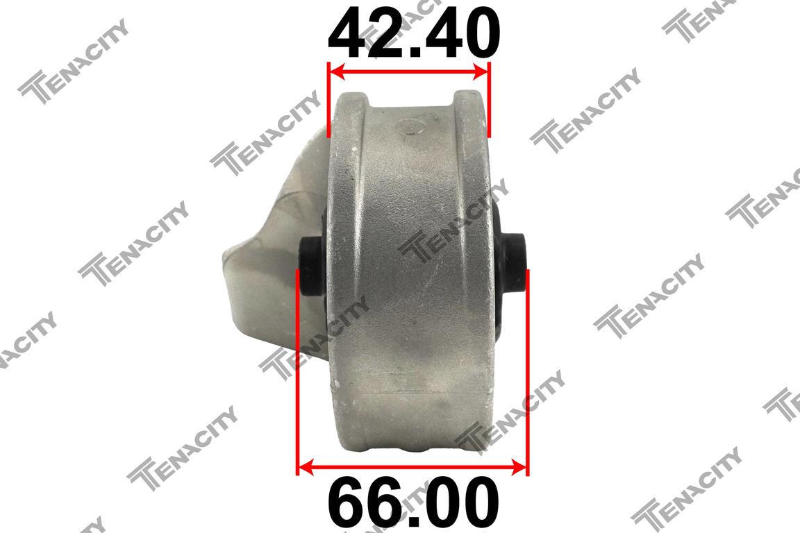 TENACITY AWSHY1153 4
