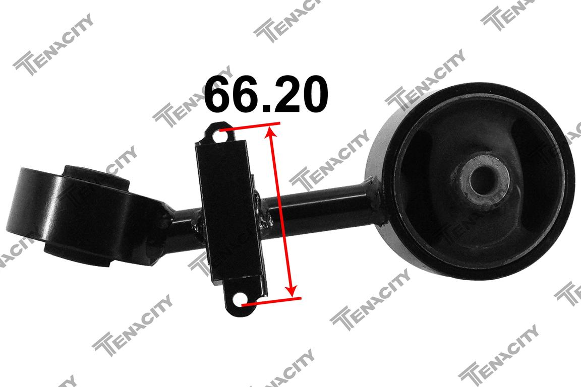 TENACITY AWSTO1254 5