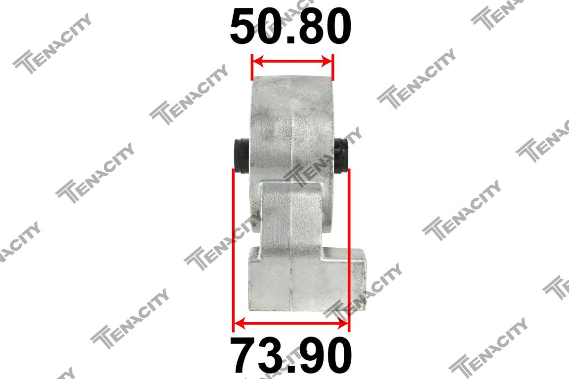 TENACITY AWSKI1037 3