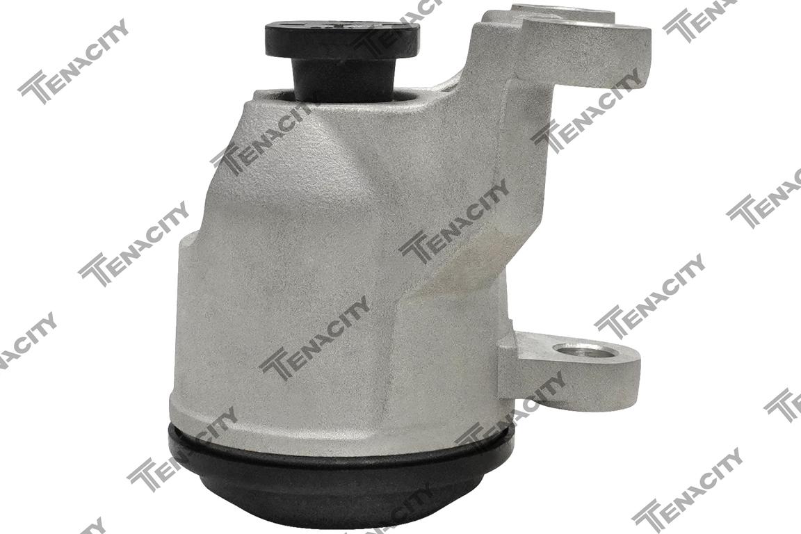 TENACITY AWSNI1220 2