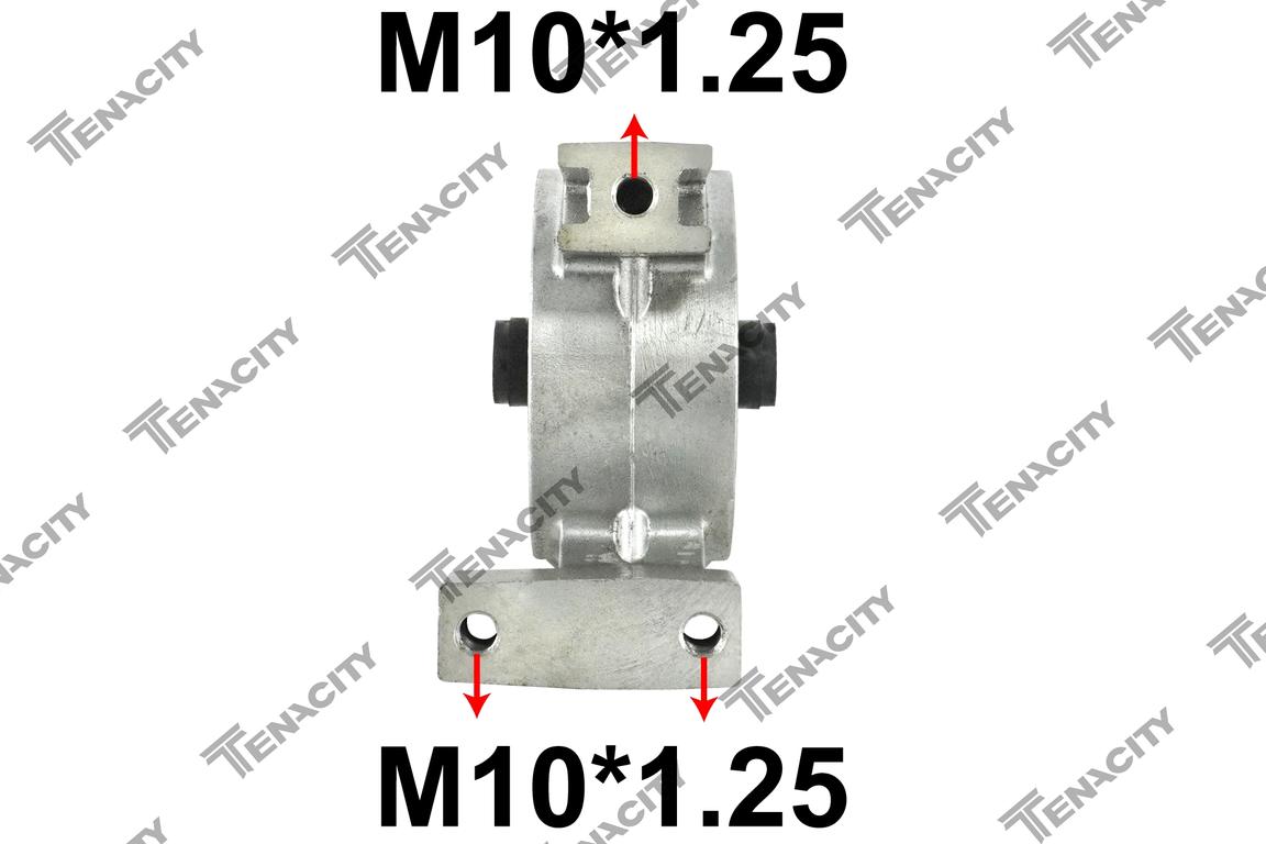 TENACITY AWSKI1037 4