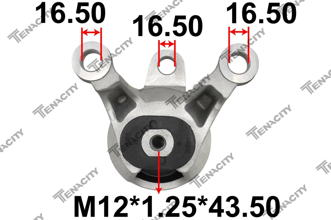 TENACITY AWSNI1220 5