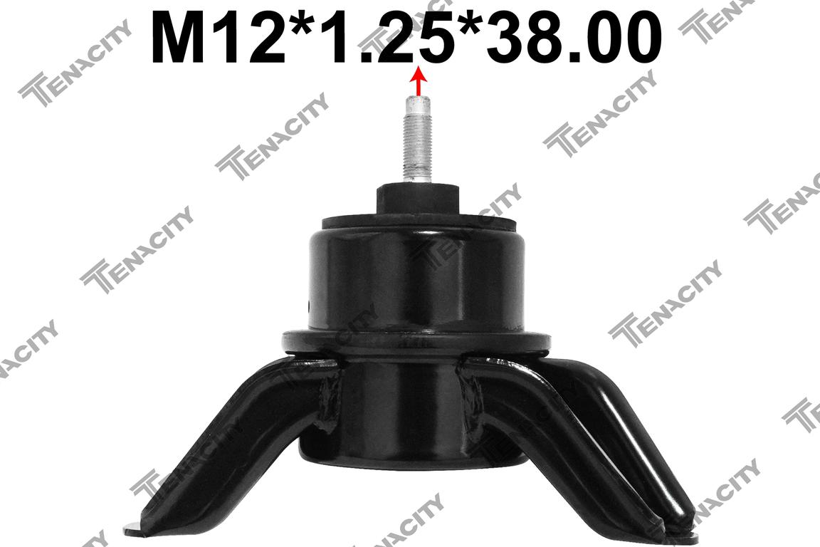 TENACITY AWSKI1052 2