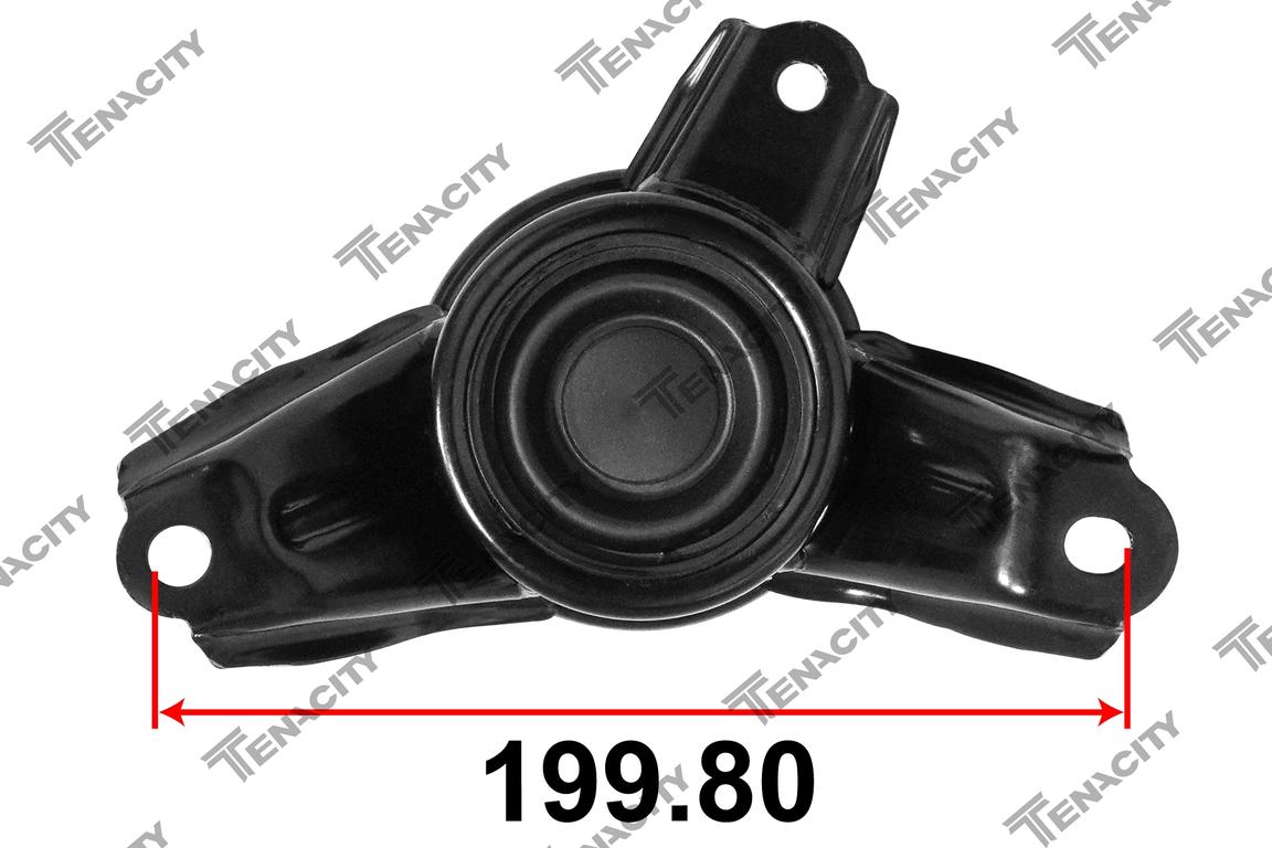 TENACITY AWSKI1052 7