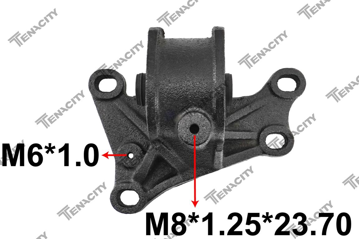 TENACITY AWSMA1002 5