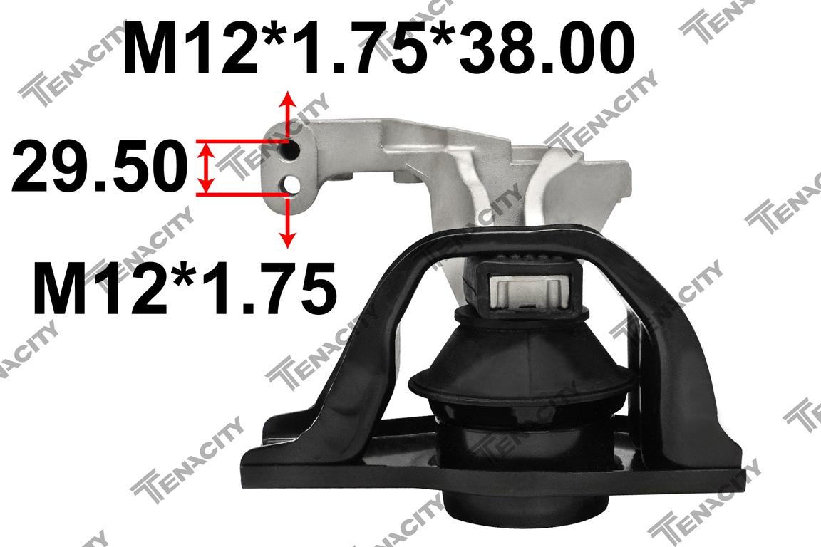 TENACITY AWSNI1326 2