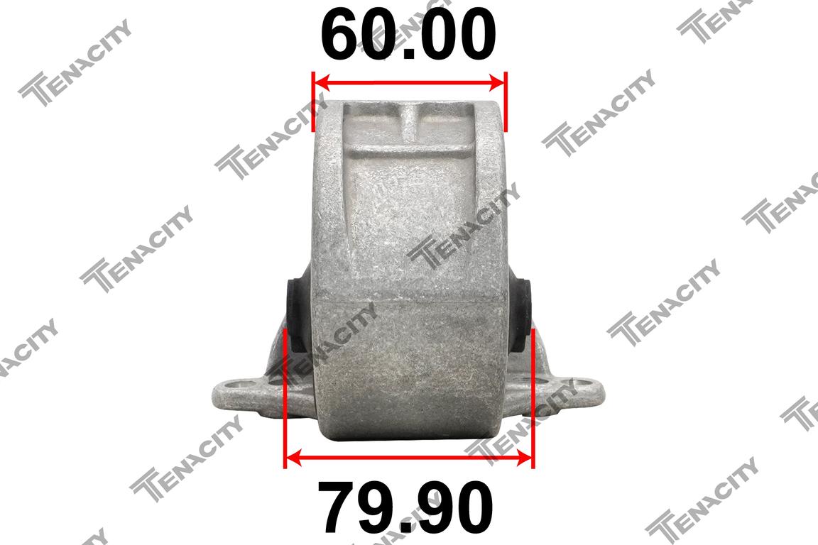 TENACITY AWSNI1132 4