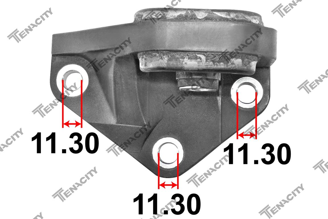 TENACITY AWSHO1071 6