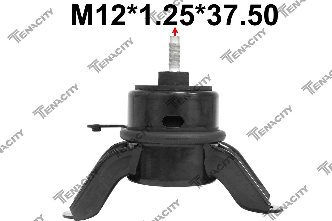 TENACITY AWSHY1214 2