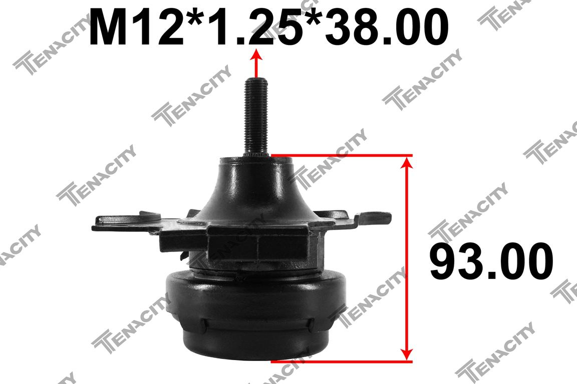 TENACITY AWSHO1074 2