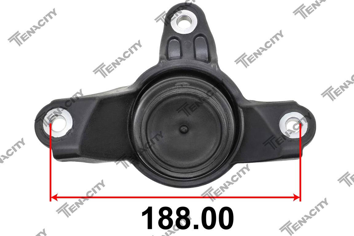 TENACITY AWSHO1098 7