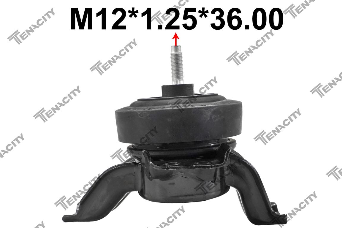 TENACITY AWSKI1085 2