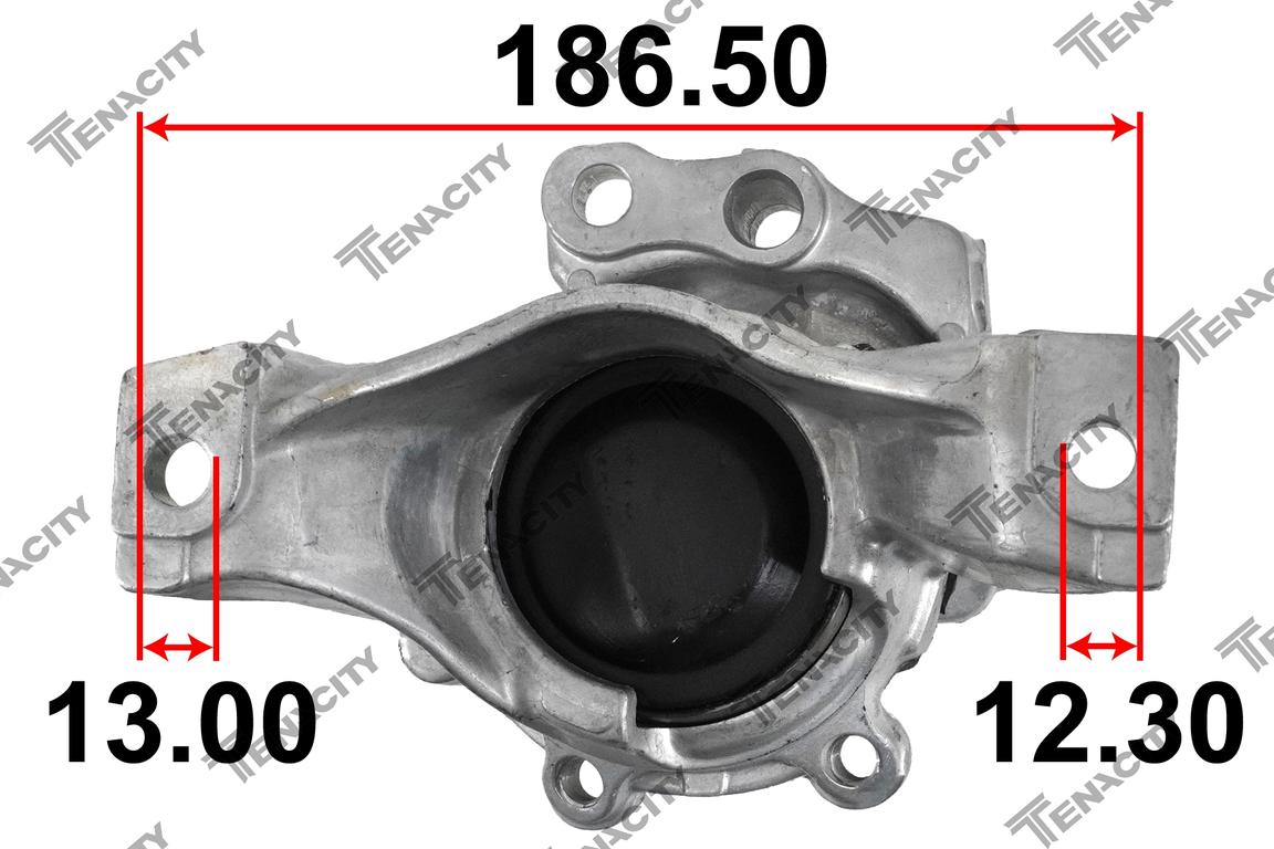 TENACITY AWSHO1114 8