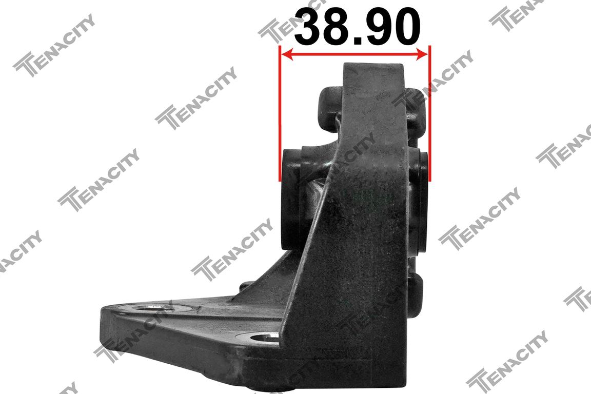 TENACITY AWSHO1115 3