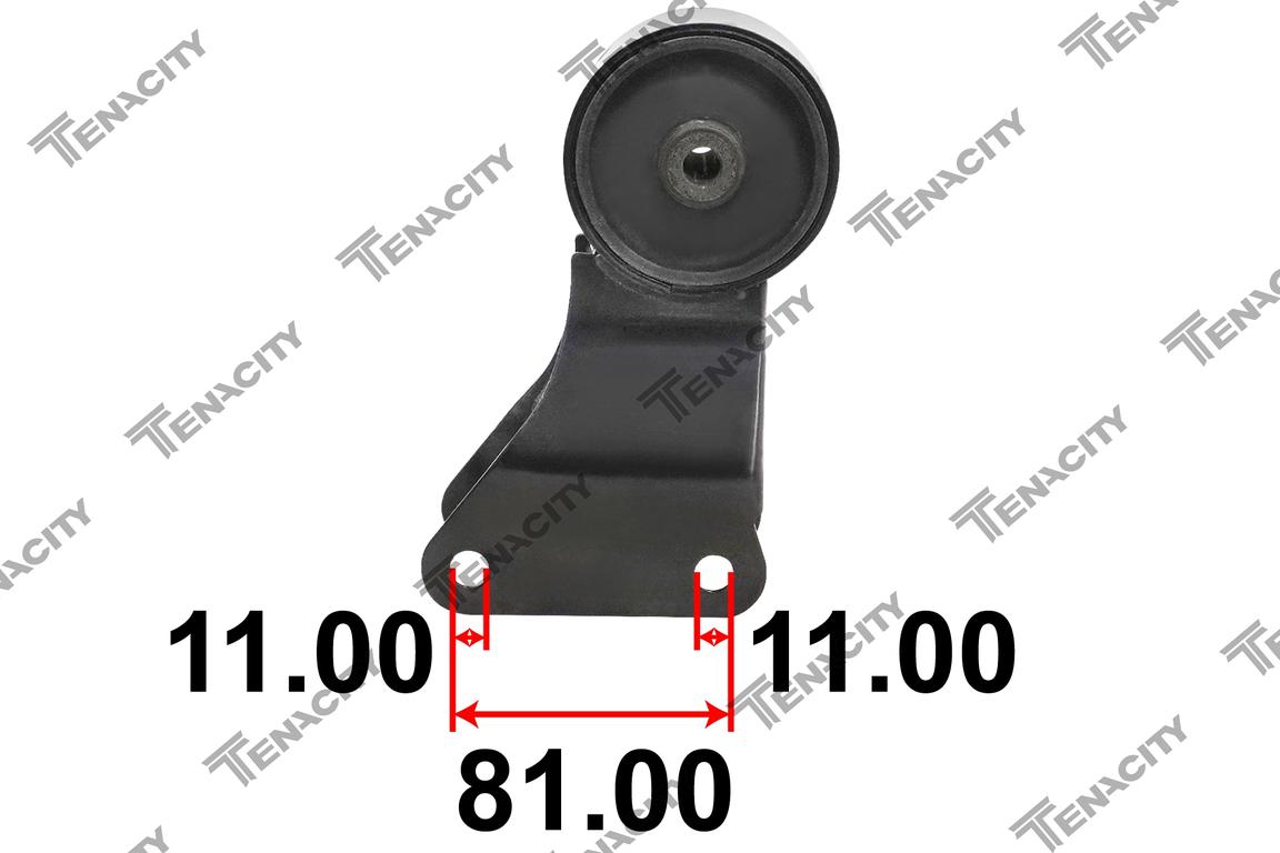 TENACITY AWSMI1080 4