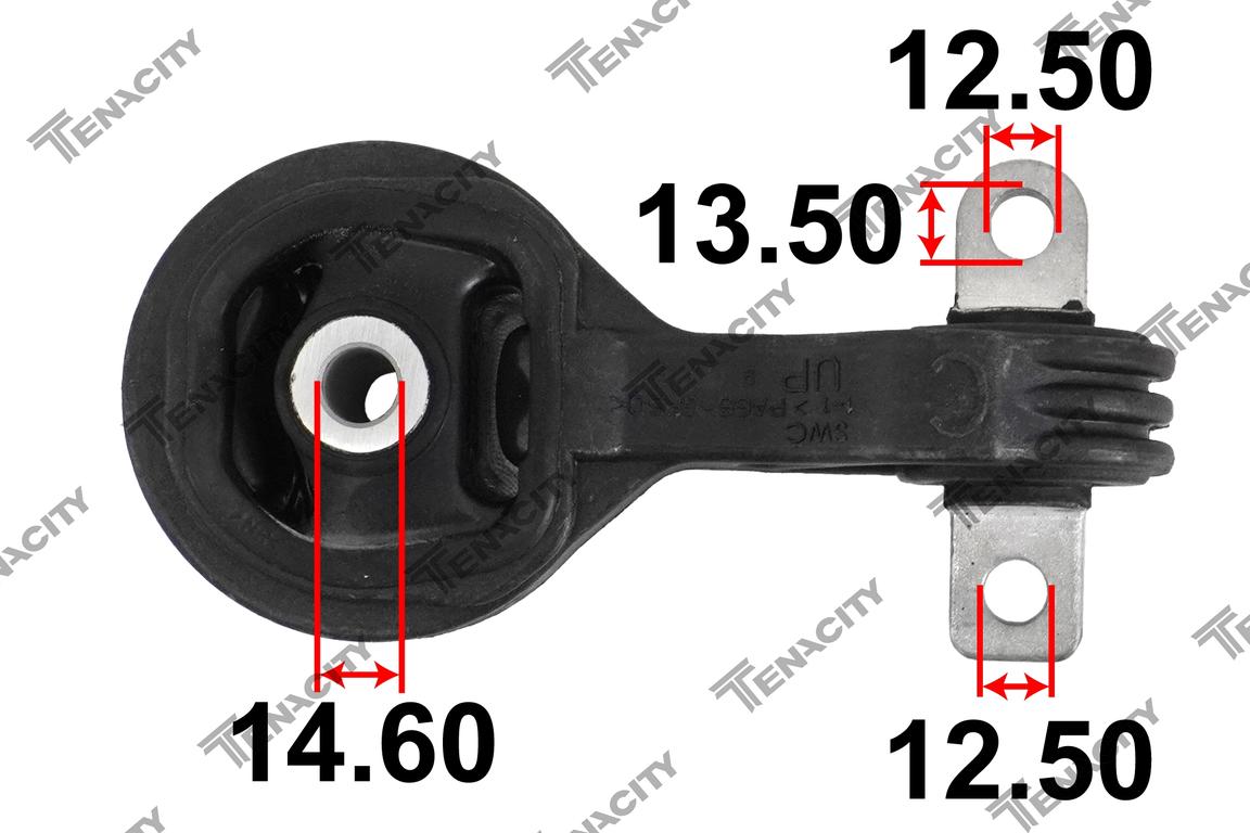 TENACITY AWSHO1125 5