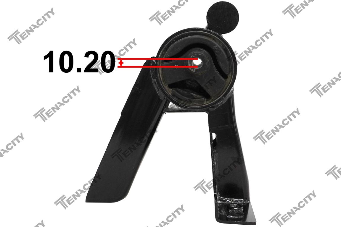 TENACITY AWSSU1028 2
