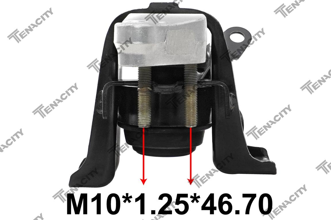 TENACITY AWSTO1005 2