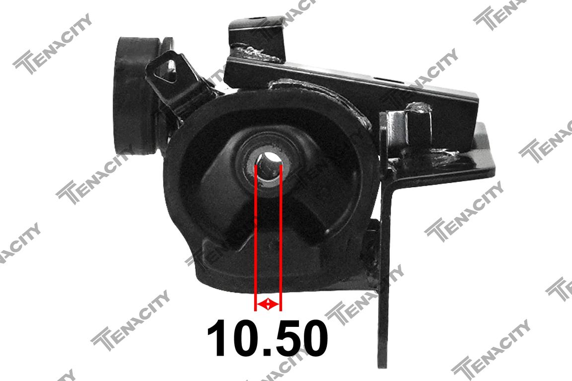 TENACITY AWSTO1006 2