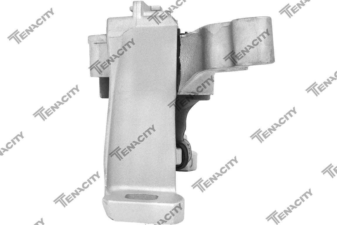 TENACITY AWSFO1165 3