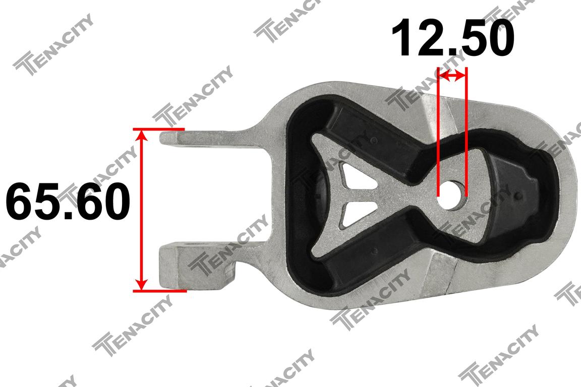 TENACITY AWSFO1132 4