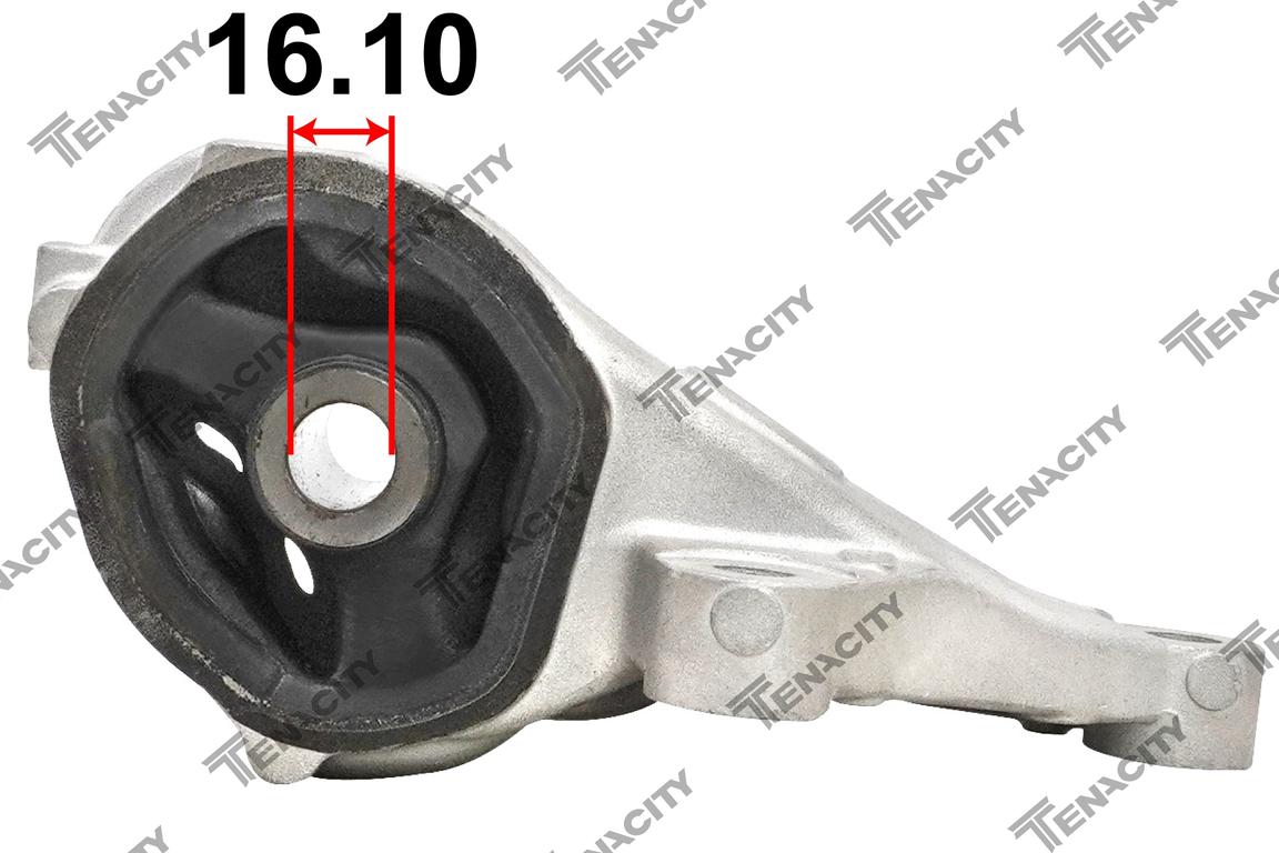 TENACITY AWSHO1152 2