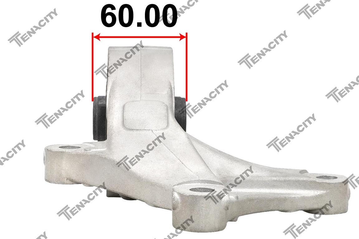 TENACITY AWSHO1152 3