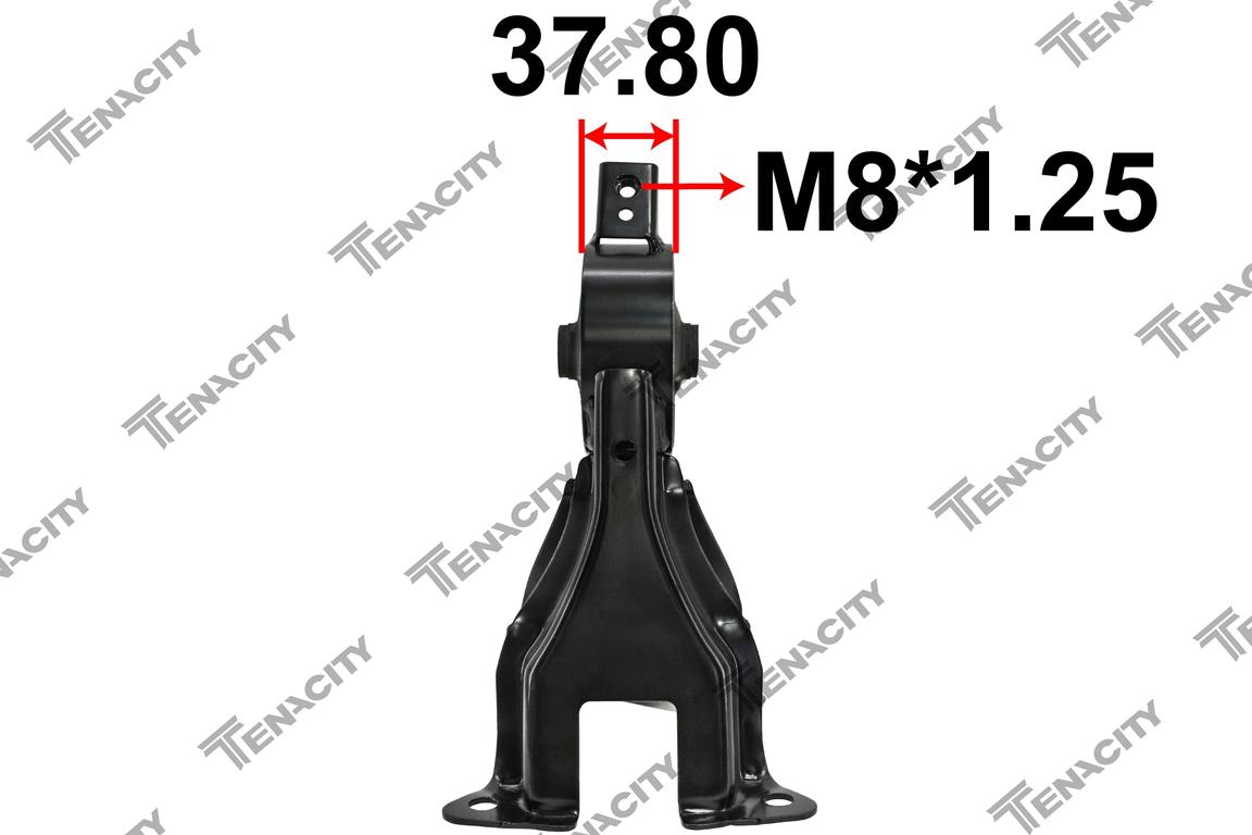 TENACITY AWSMI1129 2