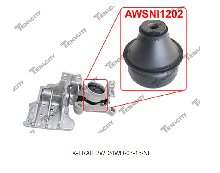 TENACITY AWSNI1202