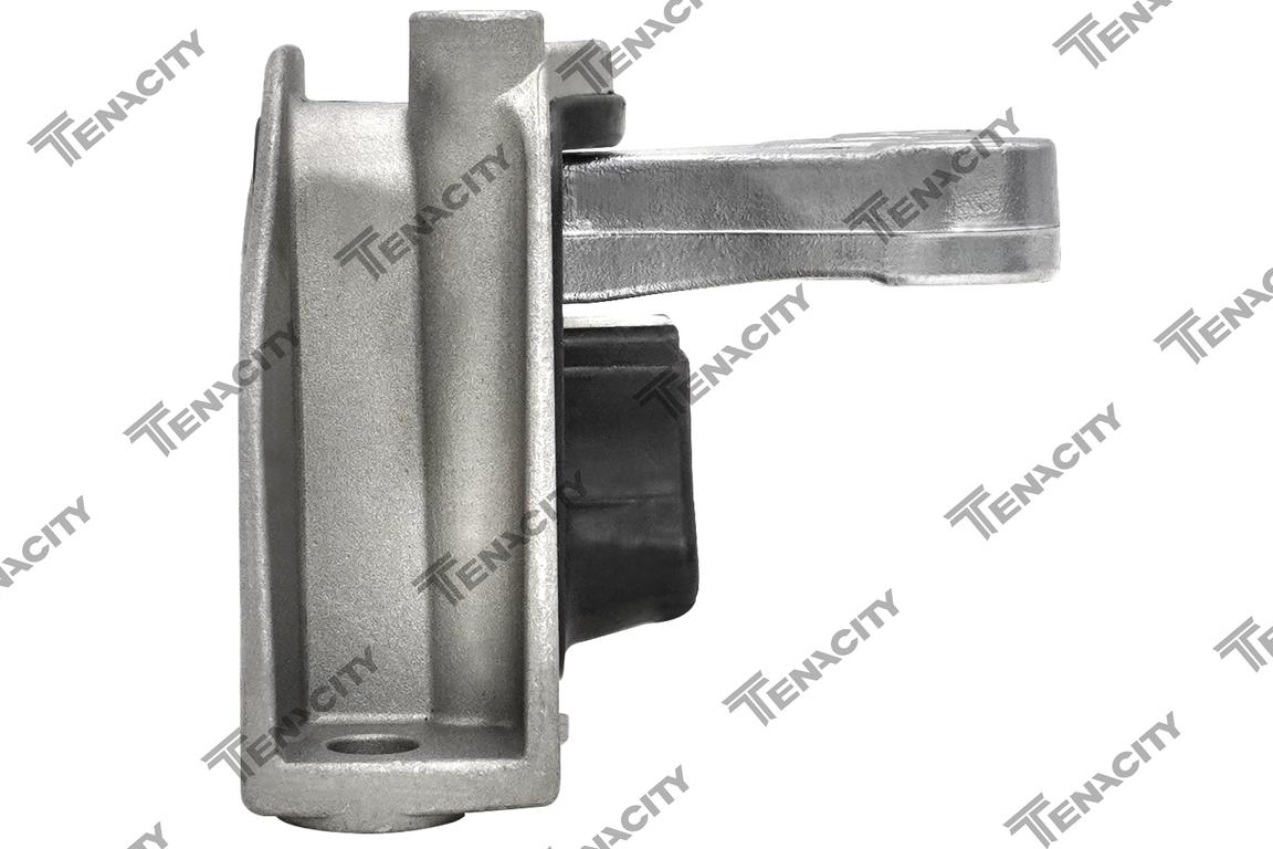 TENACITY AWSHO1080 3