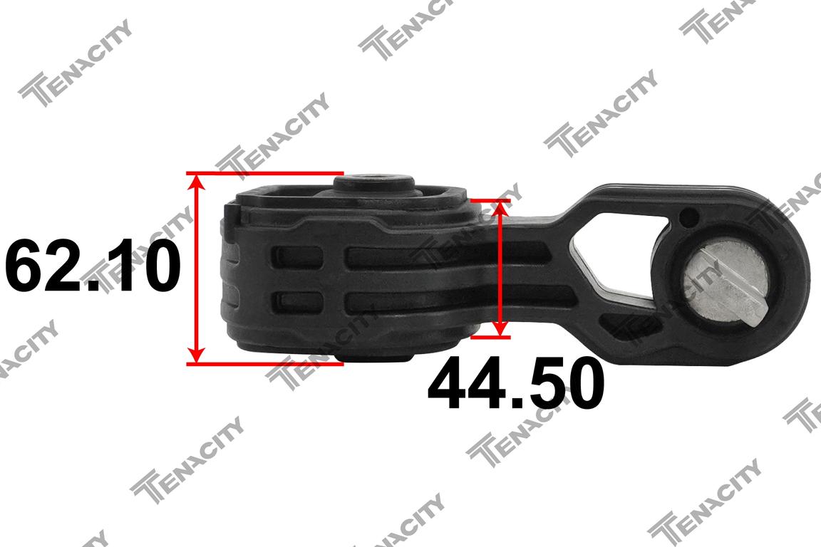 TENACITY AWSHO1124 2