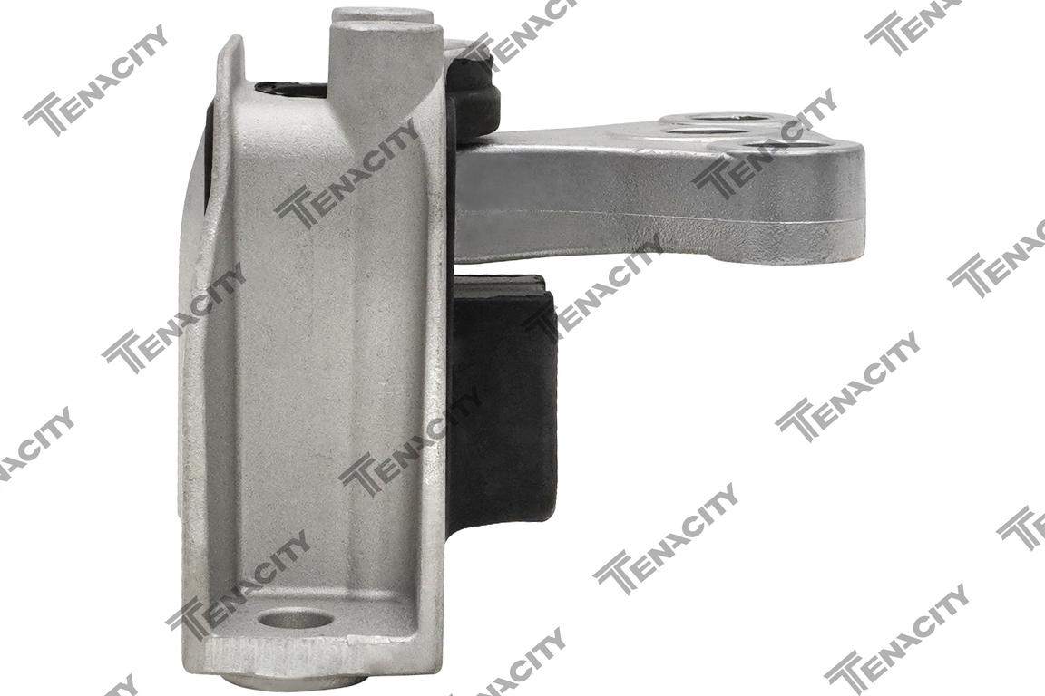 TENACITY AWSHO1126 3