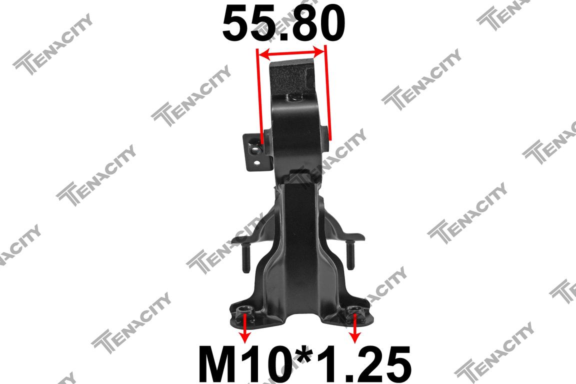 TENACITY AWSTO1093 2