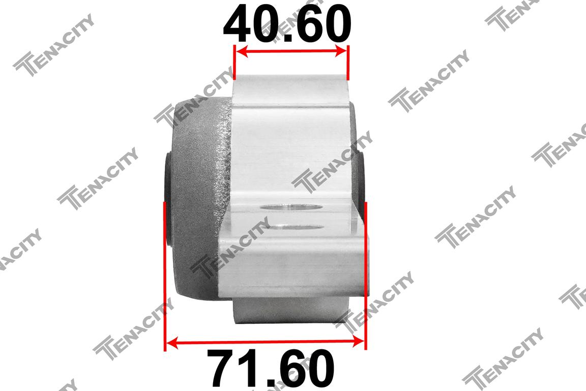 TENACITY AAMMA1032 2