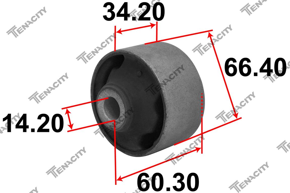 TENACITY AAMHY1003 2
