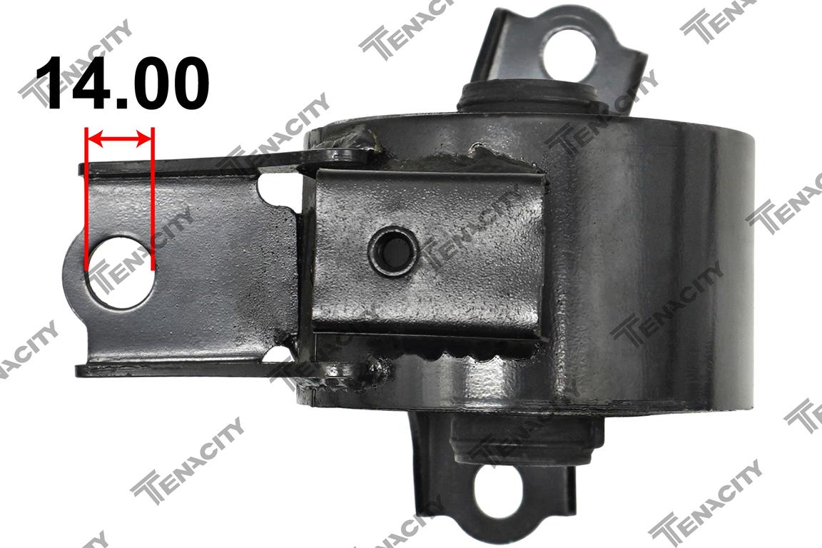 TENACITY AWSHO1195 5