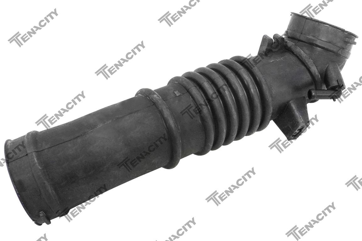 TENACITY AAHMA1006