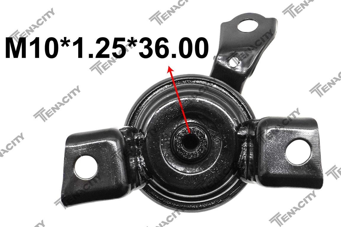 TENACITY AWSTO1283 7