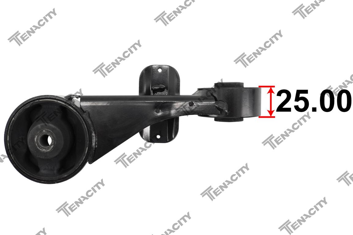 TENACITY AWSTO1289 4